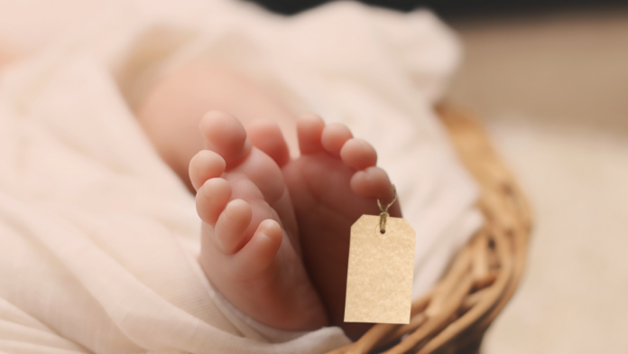 aca11baaee360fc56cc0cb3571291b9f