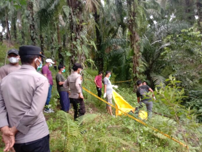 51bbd264f8a5c9b9f6473c1e5d6801f1