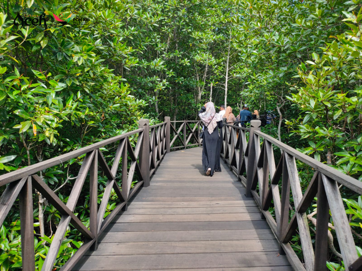 Pesona Wisata Hutan Mangrove Langsa, foto : analisaaceh.com