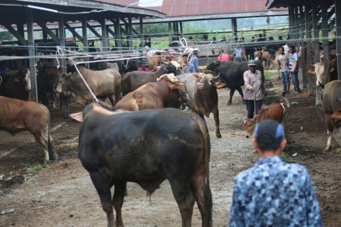 c4247ae3db8daed8e8a7e7bfd774daa9