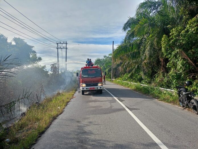 20ba6036f69f4c09303409ca7aaa6f43