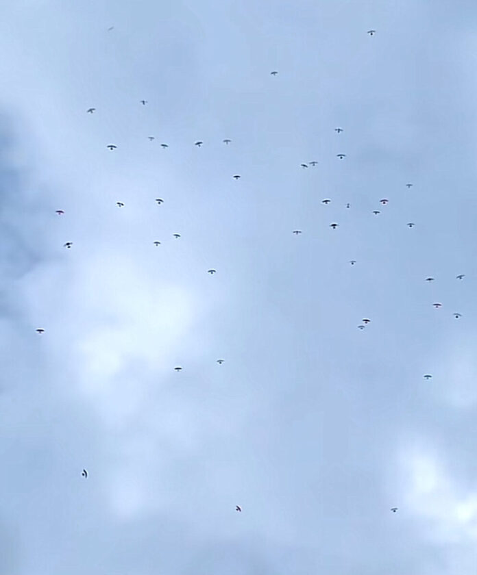 94dd6d8c40095e10f02d13350def5b75