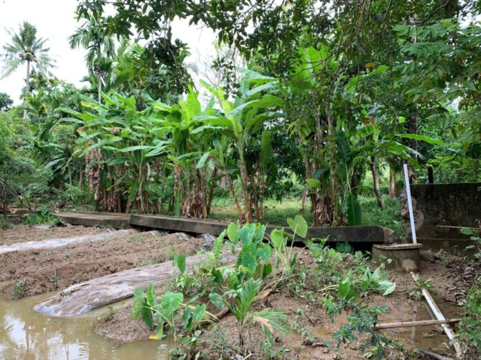 a8a82e5557a5d13b5671991c4ff429fd