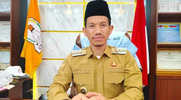Bupati Aceh Barat, Tarmizi