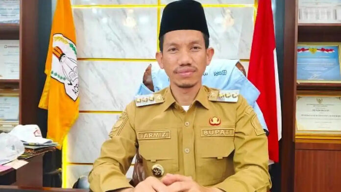 Bupati Aceh Barat, Tarmizi