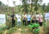 Panen Jagung 1 Ton Tandai Tahun Kedua Program Meusara PLN NP UP Arun